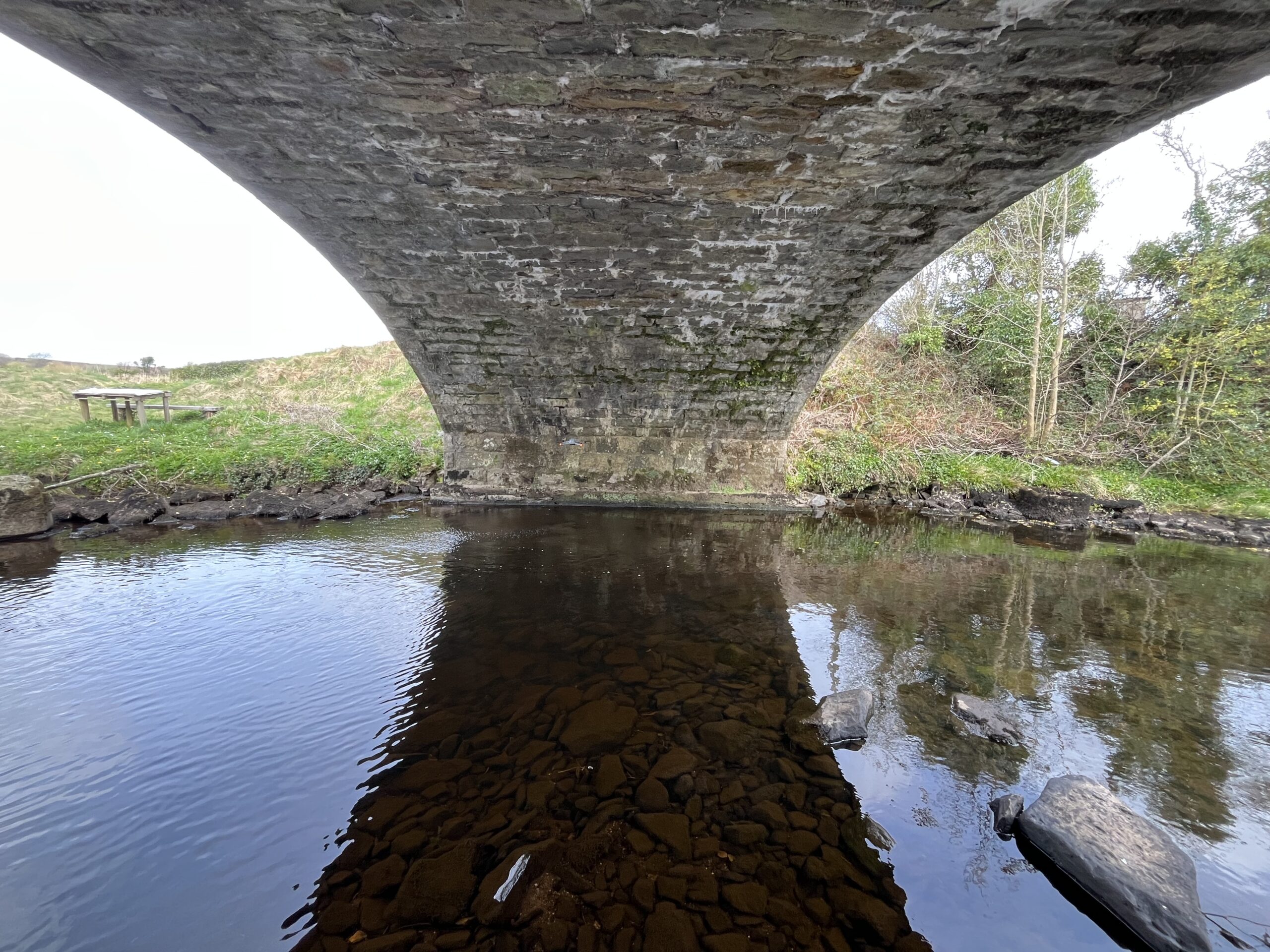 Bat surveys in Ireland: When are they required?