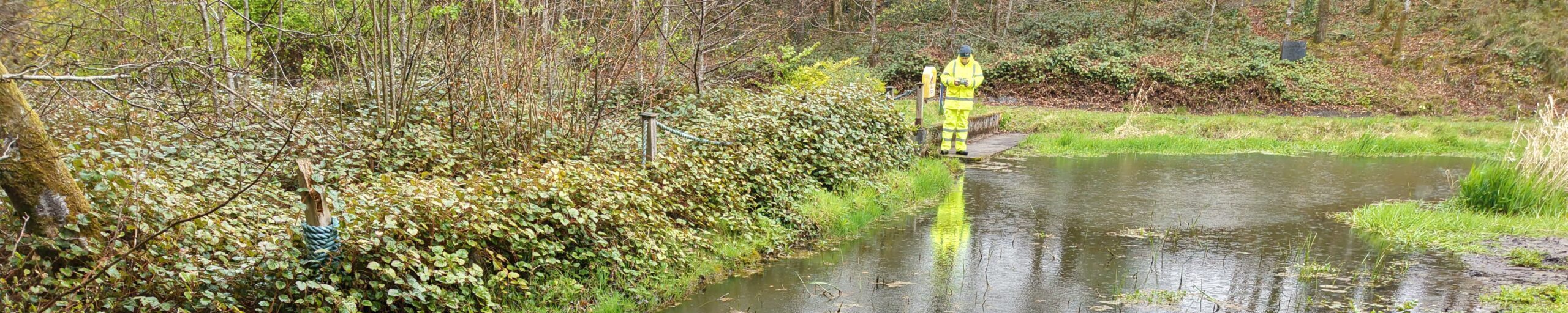 Inland Fisheries Ireland